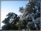 foto Parco Sebellin in Inverno